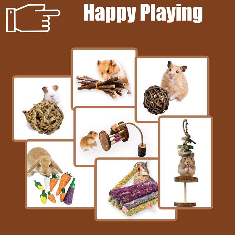 Dbeans Flourithing 13pcs Guinea Pigs Toys, Bunny Toys for Rabbits Indoor,for Pet Rabbits, Guinea Pigs, and Chinchillas - Image 3